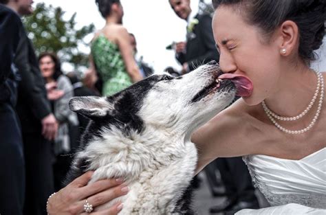 wife knotted by dog